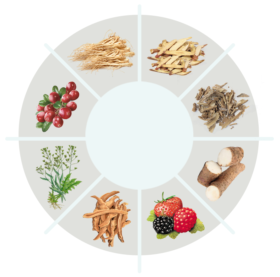 Nerve Revive 360 ingredient label visual
